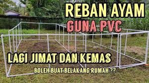 Jom tonton video ni sampai habis. Reban Ayam Pvc Mudah Dan Murah Part 1 Youtube