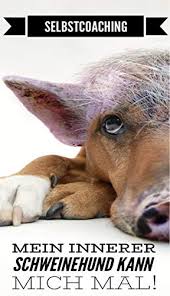 Daher fordert dein innerer schweinehund viele pausen und noch viel mehr freizeit. Selbstcoaching Mein Innerer Schweinehund Kann Mich Mal Ebook Stevens J K Amazon De Kindle Shop