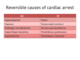 · the myocardium also contains specialized muscle cells that constitute the conducting system of the heart, initiating the cardiac action potentials and speeding their spread through the heart. Acls