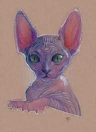 Maybe you would like to learn more about one of these? Sphynx Cat Drawing By Alex Ruiz