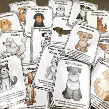 Karteikarten Zum Hund Unterrichtsmaterial Im Fach Sachunterricht Hunde Karteikarten Schulhund