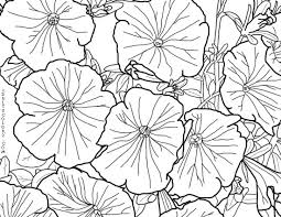 Free coloring pages spring flowers. Spring Flowers Coloring Page Beautiful Blossoms