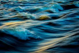 1000 Amazing Motion Photos Pexels Free Stock Photos