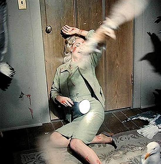 Alfred Hitchcock's THE BIRDS: Fun facts flying your way for Halloween! -  Behind The Lens Online