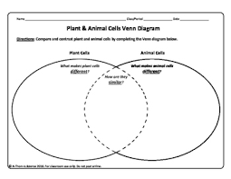 Plants & animal cell venn diagram other contents: Plant And Animal Cell Venn Diagram By A Thom Ic Science Tpt