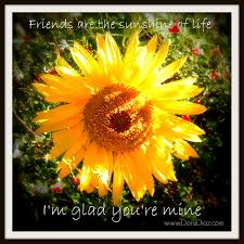 Sunflower Friendship Quotes Quotesgram Sunflower Quotes Friendship Quotes Flower Quotes