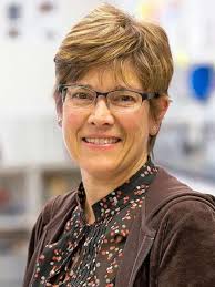 Top Kane County educators to be recognized Friday