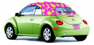 Volkswagen Beetle Convertible Tops Vw Beetle Soft Top Vw Beetle Convertible Volkswagen Beetle Convertible Beetle Convertible