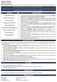 Software Developer Resume Samples Resume Software Resume Objective Resume Objective Examples