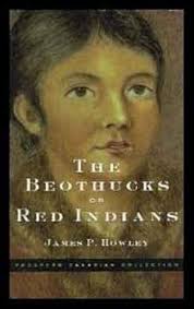 The Beothucks or Red Indians: The Aboriginal Inhabitants of Newfoundland:  Howley, James Patrick: 9781552671399: Amazon.com: Books