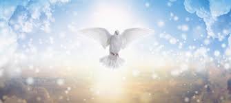 When god touches you, your body has to react. 9 Best Prayers For The Holy Spirit Power Connectus