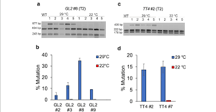 The average cost for pest control is $250. Activity Of Lbcas12a Is Highly Sensitive To Temperature In Arabidopsis Download Scientific Diagram