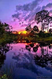 This Park Has It All Private Little Corners Where You Can Get Away From It All Public Areas Where They Have Lots Of Sp Purple Sunset Scenery Beautiful Nature