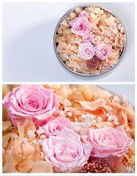 The following are steps on how to preserve flowers using a microwave: Pin By Rose Gold Love On Preserved Flower Box Forever Roses How To Preserve Flowers Forever Rose Food