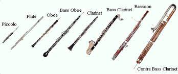 Woodwind instruments are a family of musical instruments within the more general category of wind instruments. Woodwind Instruments Rock Star
