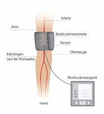 Blutdruckmessung Infothek Blutdruckdaten