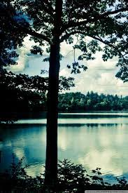 Outdoors Hd Desktop Wallpaper Widescreen High Definition Fullscreen Mobile Dual Monitor Outdoor Desktop Wallpapers Backgrounds Summer Outdoor