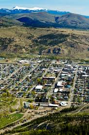 Image result for Harungana montana