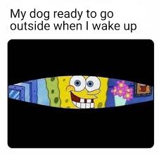 Spongebob When You Wake Up Meme Template