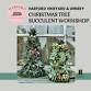 Christmas Tree Succulent Workshop event image