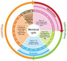 Selanjutnya biarkan kalkulator masa subur bekerja, dan ibu akan segera mendapatkan hasil perhitungan kapan masa subur dan hari ovulasi ibu terjadi. Alternatif Lain Selain Mengandalkan Kalkulator Masa Subur