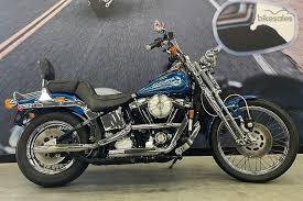 Image result for Vivid Black 1993 FXSTS