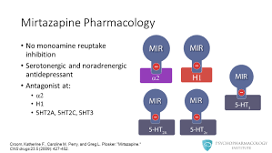 Can mirtazapine help with anxiety? Mirtazapine Essentials Moa Indications Adverse Effects Pharmacokinetics And Dosing Psychopharmacology Institute