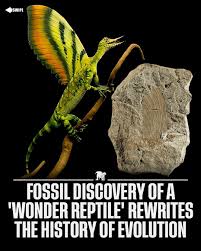 Image result for Hypuronector