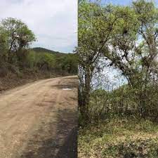 Toliman, jalisco, mexico, north america geographical coordinates: Habitat De Athis Jaliscana En Toliman Jalisco Download Scientific Diagram