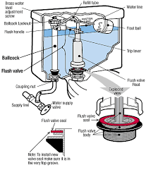 Replacing a flush valve in your toilet is one of the hardest parts to replace. Mansfield Toilet Tank Parts Flush Valves Toilet Flush Valve Toilet Repair