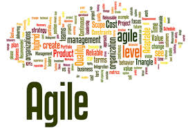 Agile Enterprise Definition Fast Moving Flexible And Robust Firm Capable Of Rapid Response To Unexpected Challenges Event Agile Graphing Book Worth Reading