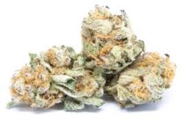 Check spelling or type a new query. How Can I Safely Buy Weed Online With Paypal Credit Card