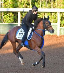 72,940 likes · 1,567 talking about this. T9r Smrcqg Jxm