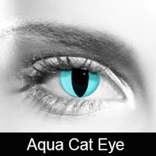 Your glasses and contact lens prescriptions are actually different. Ac Contact Lenses Spencer S