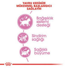 Royal Canin Kitten Yavru Kedi Mamasi Kullanici Yorumlari Satin Al Kedi Blog