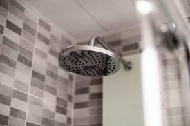 The fat and chemicals in. Is Black Mold In The Shower Dangerous