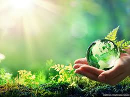 These ensure, amongst others, that workers receive equal pay, maternity, and parental leave for example. Consumers Are Seeking Out Eco Friendly Beauty Brands Exploring The Rise Of Conscious Capitalism Marketing Tech News