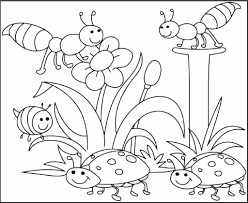 Spring Coloring Sheets For Adults Inspirational Kindergarten Worksheets Year Math Worksheets Pd In 2020 Spring Coloring Sheets Bug Coloring Pages Insect Coloring Pages