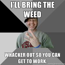 The Best Weed Jokes And Memes For 4 20