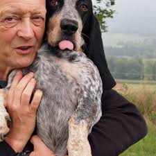 Mon ami Alain Baudet, ancien élève de Seclin où il a boxé de nombreuses  années et qui conduit maintenant le Cobra Boxing Club de Sin le Noble et  qui a disputé 3