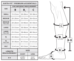 Juxta Lite Measurement Guide Related Keywords Suggestions