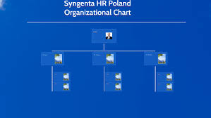 Syngenta Hr Org Chart By Karolina Kieljan On Prezi