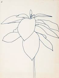Ellsworth Kelly Original Art Drawing Plant Drawing Art Ellsworth Kelly