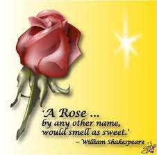 Media Adobe Illustrator Rose Flower Quote Shakespeare Drawn Created By Graphic Designs By Suz Floral Quotes Flower Quotes Quotes About Flowers Blooming