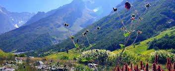 The trek starts from haridwar and ends at haridwar. Hemkund Sahib Trek Difficulty Archives Trekkerpedia