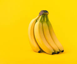 April 2021 in beikost, ernährung. Durfen Kaninchen Bananen Fressen 12 Antworten Auf Die Wichtigsten Fragen Tiier