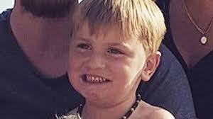 Harley Barnes' Wiltshire pond drowning was accident