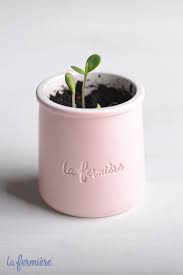 Diy La Fermiere Idee De Petit Pot Adorable Pour Vos Plantes Bricolage Pot De Yaourt En Verre Pots Pots De Yaourt