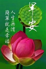 pin by 吉來麻on 早安 good morning beautiful flowers good morning greetings morning greetings quotes
