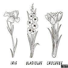 A Set Of Flowers Hand Draw In Ink Iris Flower Tattoo Iris Drawing Gladiolus Flower Tattoos
